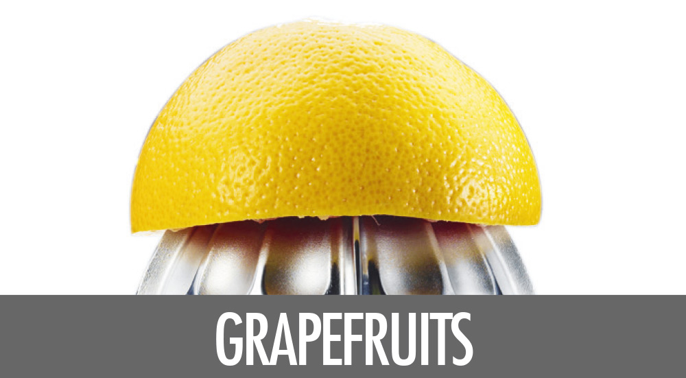 61150 Citrus Juicer Advanced Pro S - Grapefruits