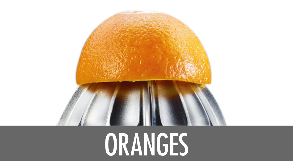 61150 Citrus Juicer Advanced Pro S - Oranges